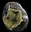 Calcite Crystal Filled Septarian Geode - Utah #37234-1